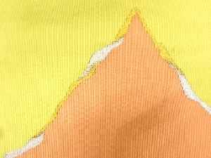 アンティーク　綴れ遠山模様織り出し名古屋帯